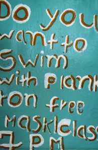 Plankton-Koh-Rong